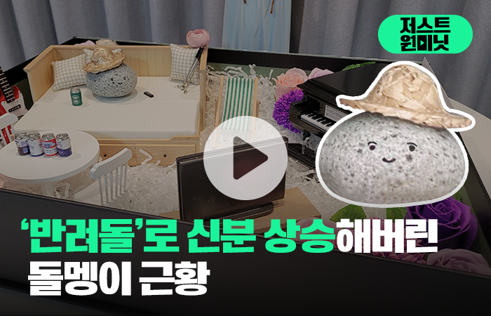 '반려돌'이 인기 있는 3가지 이유 기사의 사진