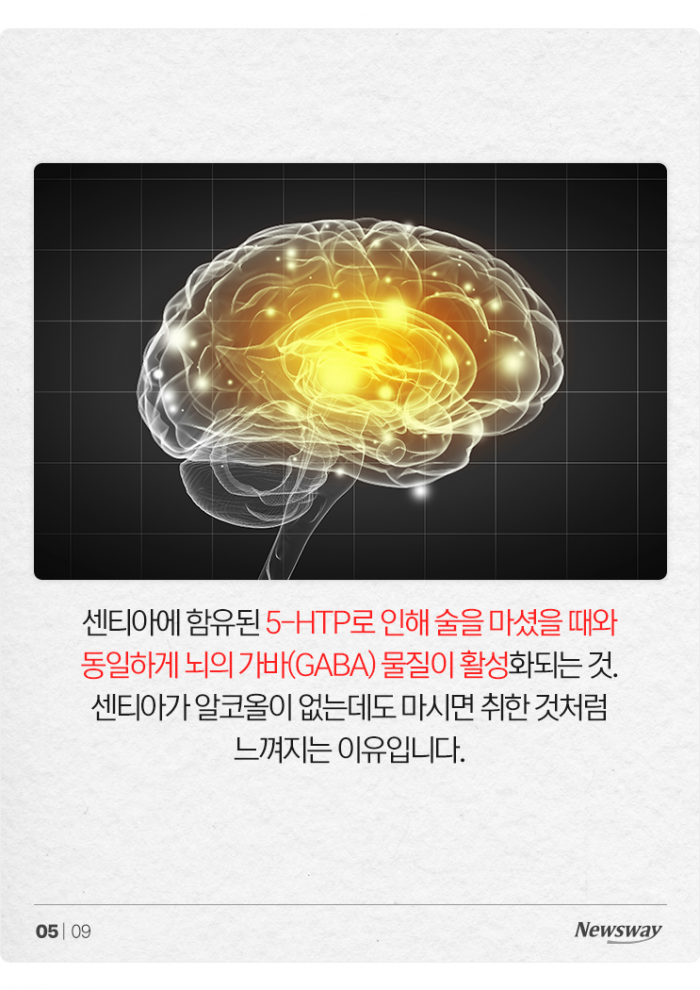 마셔도 음주 측정에 안 걸리는 술이 있다? 기사의 사진