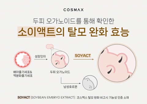 "모발·모낭 오가노이드 활용"···코스맥스, 남성형 탈모 평가법 개발