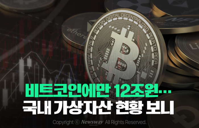 비트코인에만 12조원···국내 가상자산 현황 보니 기사의 사진