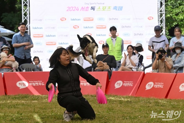 반려인과 반려견이 18일 오후 서울 서초구 서초문화예술공원 야외무대에서 열린 2024 서초 독 스포츠 축제 '독 디스크(프리스타일 분야)'에서 원반던지기 시범을 펼치고 있다. 2024.05.18. 사진공동취재단 kms@newsway.co.kr