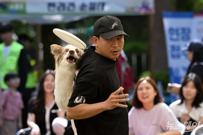 반려인과 반려견이 18일 오후 서울 서초구 서초문화예술공원 야외무대에서 열린 2024 서초 독 스포츠 축제 '독 디스크(프리스타일 분야)'에서 원반던지기 시범을 펼치고 있다. 2024.05.18. 사진공동취재단 kms@newsway.co.kr