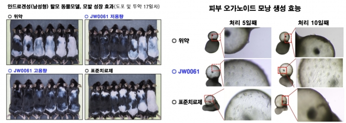 JW중외제약 제공