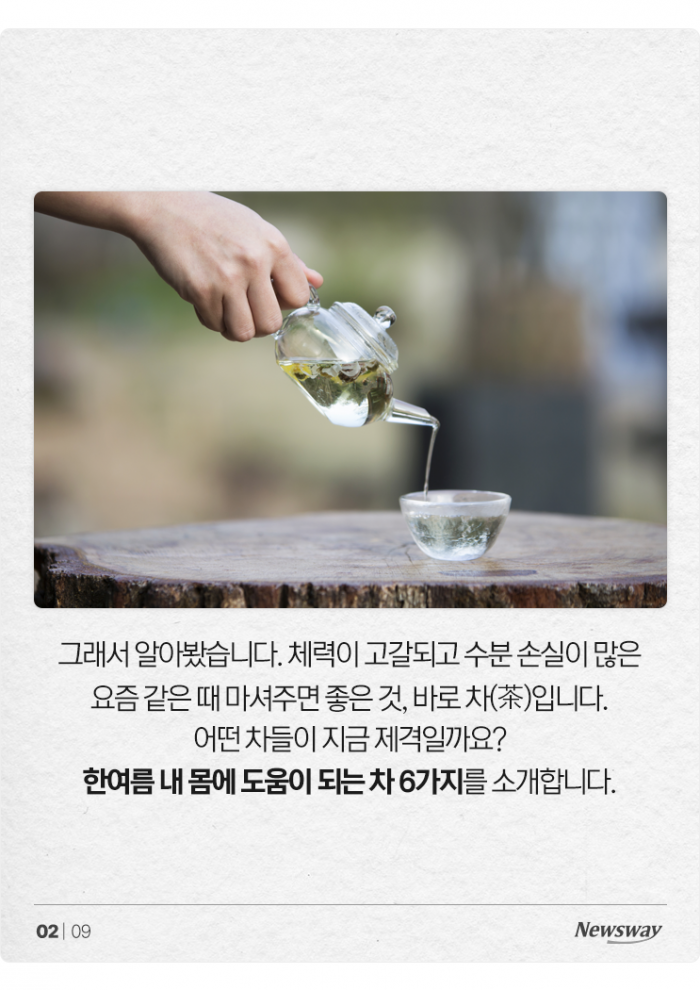 역대급 폭염 나와! '한여름에 마시면 좋은 차(茶)' 6선 기사의 사진