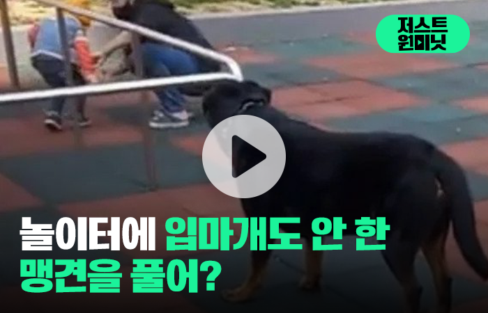 놀이터에 입마개도 안 한 맹견을 풀어? 기사의 사진