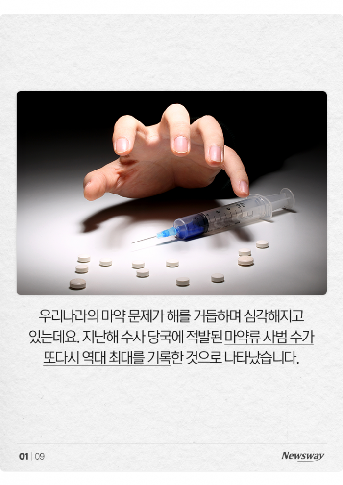 골든타임 놓쳤나···마약 사범 또다시 '역대 최다' 기사의 사진