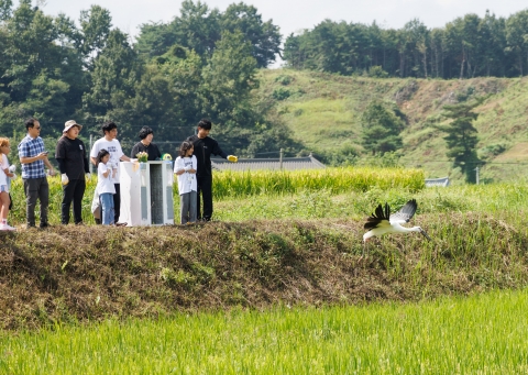 보령·예산군, 멸종위기 '황새' 보전 활동 참여