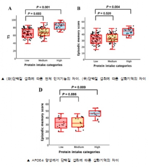'고단백 식사' 노인 인지기능 ↑···"알츠하이머병 유전적 소인 있으면 예방 도움"