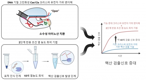 "감염병 진단 대폭 향상"···'크리스퍼 유전자 가위' 진단 기술 개발