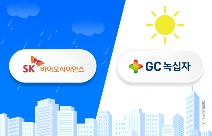 그래픽=홍연택 기자