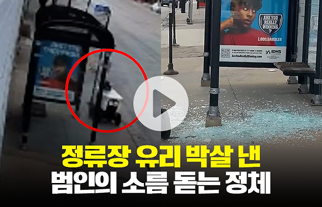 그래픽=홍연택 기자