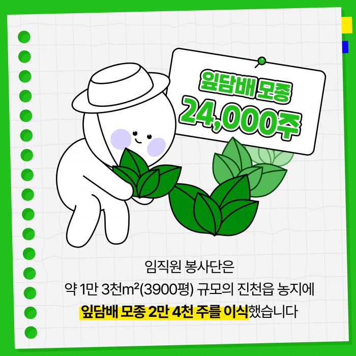 KT&G, 잎담배 농가 모종이식 봉사활동 진행 기사의 사진