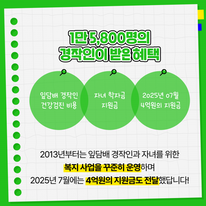 KT&G, 잎담배 농가 모종이식 봉사활동 진행 기사의 사진