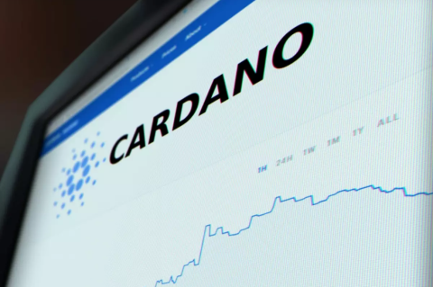 전문가들 카르다노(ADA), "올해 1달러 못 넘는다"