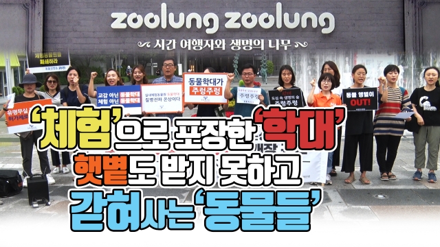 타임스퀘어, 실내체험동물원 ‘주렁주렁’···동물권단체 “반생태 교육현장”