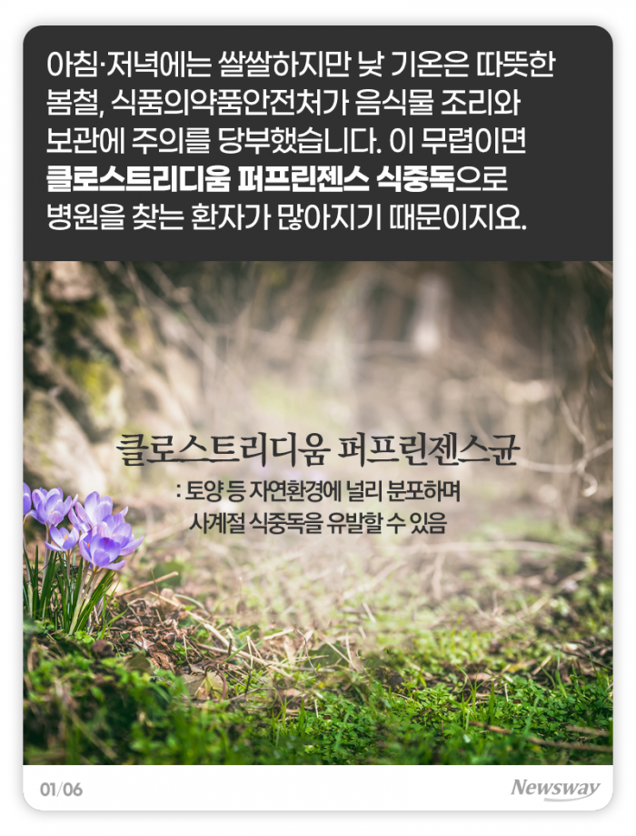 이맘때 많아지는 봄철 식중독, 어떻게 피할까? 기사의 사진