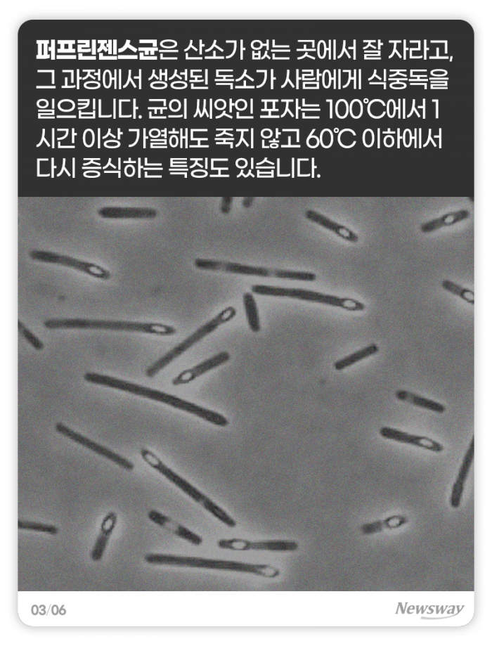 이맘때 많아지는 봄철 식중독, 어떻게 피할까? 기사의 사진