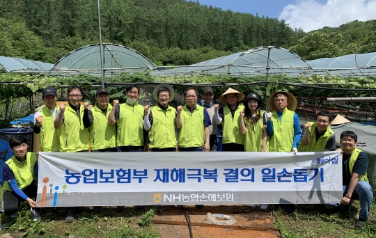 지난 12일 경기 남양주시 소재 포도농가에서 일손돕기 봉사활동을 실시한 NH농협손해보험 김기형 부사장(왼쪽 여섯 번째)과 농업보험부 직원들이 기념촬영을 하고 있다. 사진=NH농협손해보험