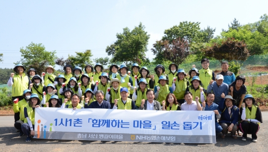 16일 충남 서산시 뱅길이마을에서 봉사활동을 실시한 NH농협손해보험 최창수 대표(앞줄 왼쪽 다섯 번째)와 임직원들이 기념촬영을 하고 있다. 사진=NH농협손해보험