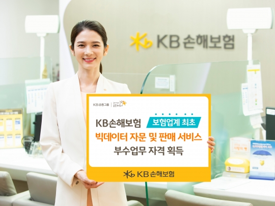 KB손해보험은 빅데이터 자문 및 판매 서비스에 대한 부수업무 자격을 획득했다. 사진=KB손해보험
