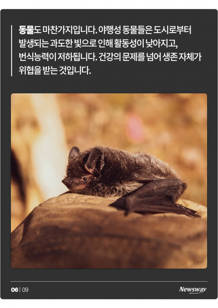 잘 때 TV 켜두면 안 되는 이유 기사의 사진