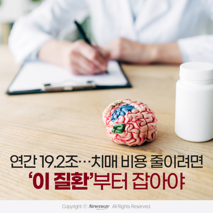 연간 19.2조···치매 비용 줄이려면 '이 질환'부터 잡아야 기사의 사진