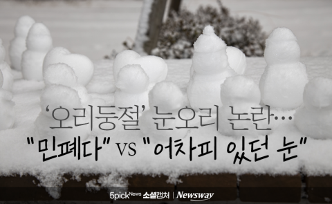'오리둥절' 눈오리 논란···&quot;민폐다&quot; vs &quot;어차피 있던 눈&quot;