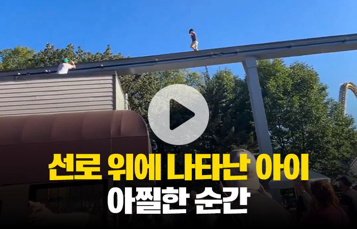 그래픽=박혜수 기자